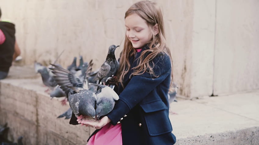 Birds sit on little girl's arms and eat. Slow motion. Beautiful, girl and pigeon HD wallpaper