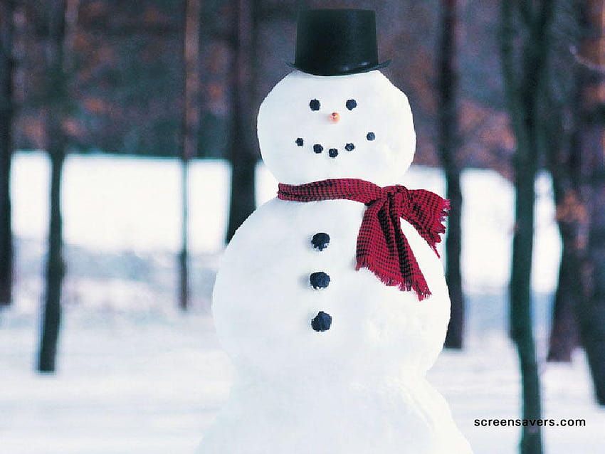 winter real snowman, winter real snowmen HD wallpaper