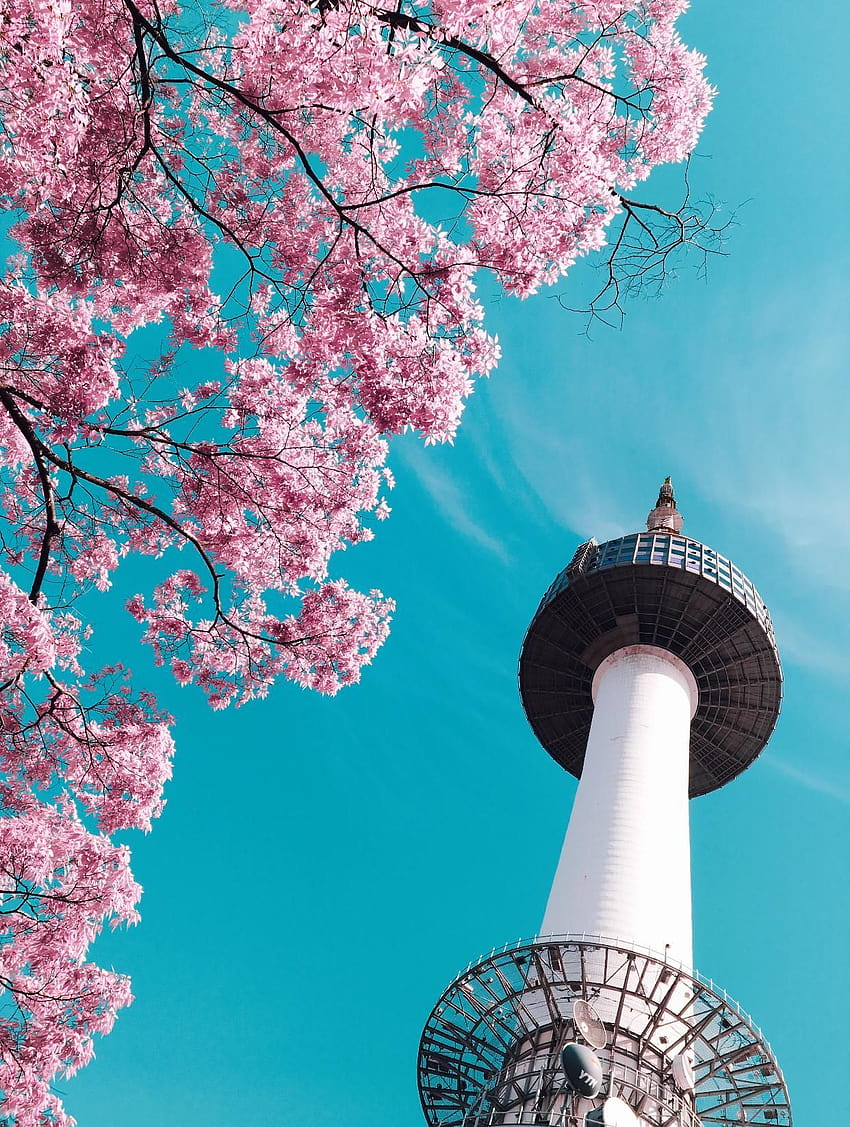 ITAP ของ Seoul N Tower ฤดูใบไม้ผลิของเกาหลีใต้ วอลล์เปเปอร์โทรศัพท์ HD