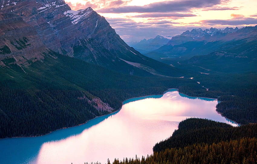 summer, lake, Canada, Banff national Park, Peyto, By Panorama Paul, Canadian Rockies, August , section пейзажи, summer panoramic HD wallpaper