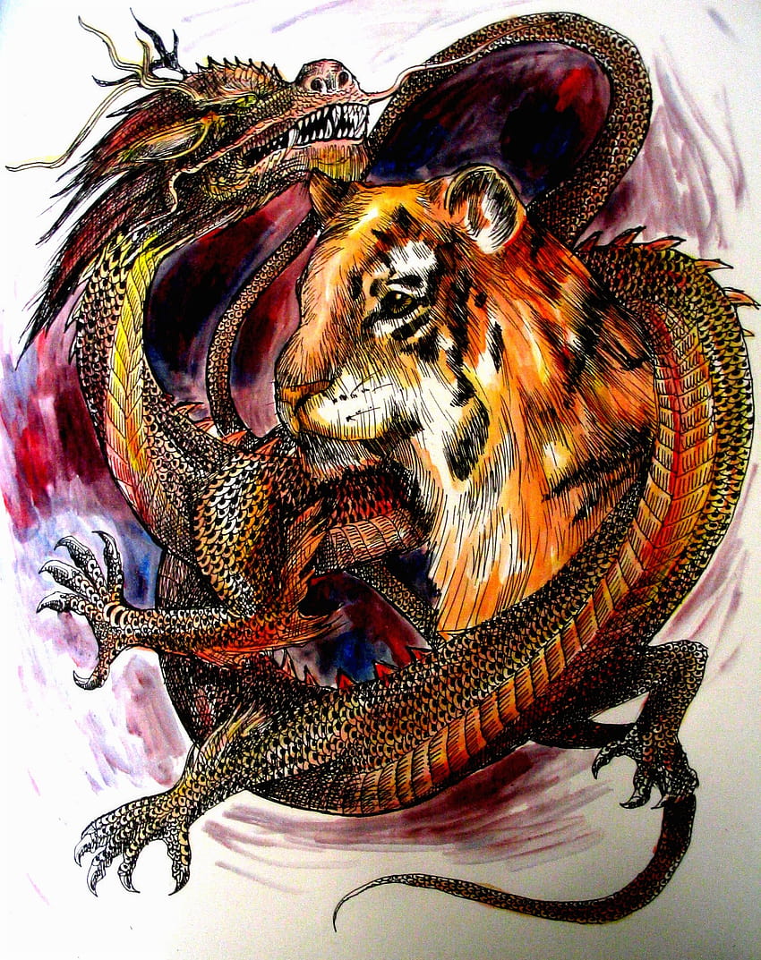Tiger Vs Dragon Dragon and tiger by [1505x1900] for your , Mobile & Tablet HD 전화 배경 화면