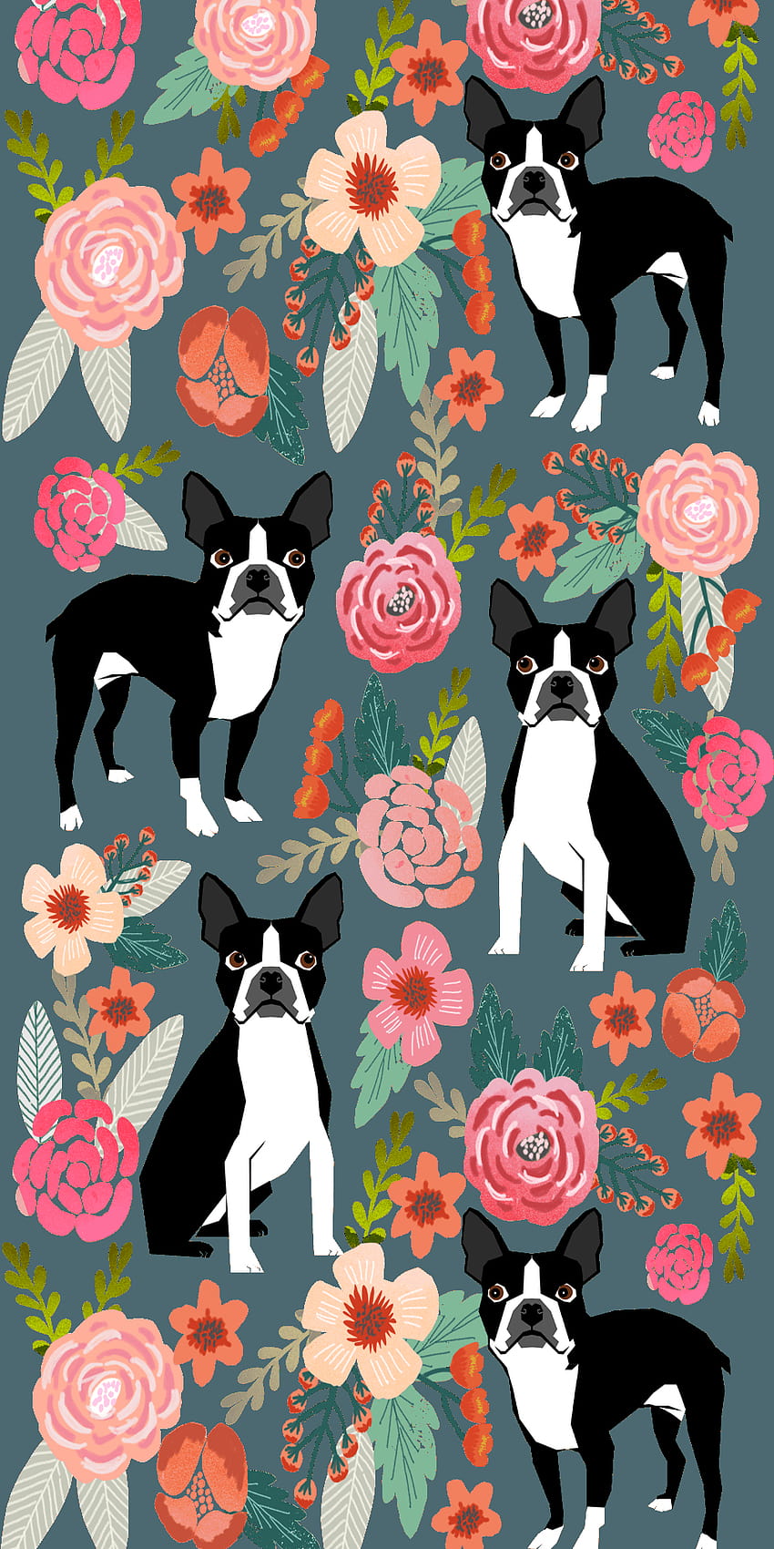 Wallpaper ID 463632  Animal Boston Terrier Phone Wallpaper  720x1280  free download