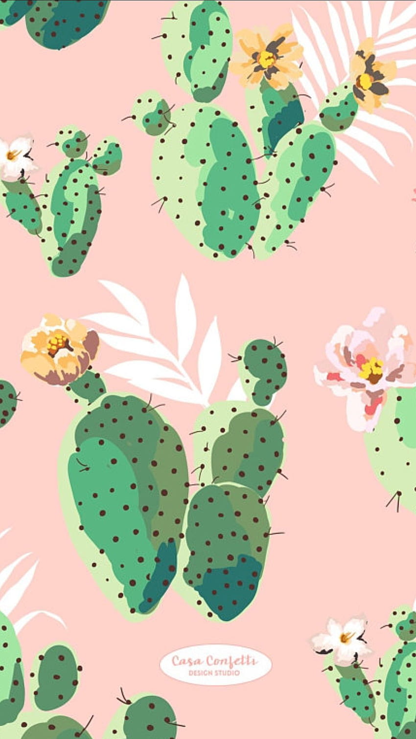 Cactus, Barbary Fig, Nopal, Prickly ...itl.cat, estetica succulenta Sfondo del telefono HD