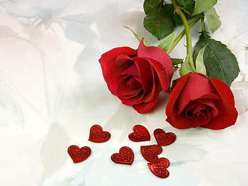 Valentine Rose Red PNG Transparent Images Free Download | Vector Files |  Pngtree