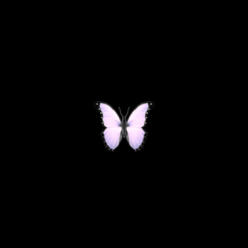 Aesthetic Tumblr Butterfly Emoji Backgrounds HD phone wallpaper | Pxfuel