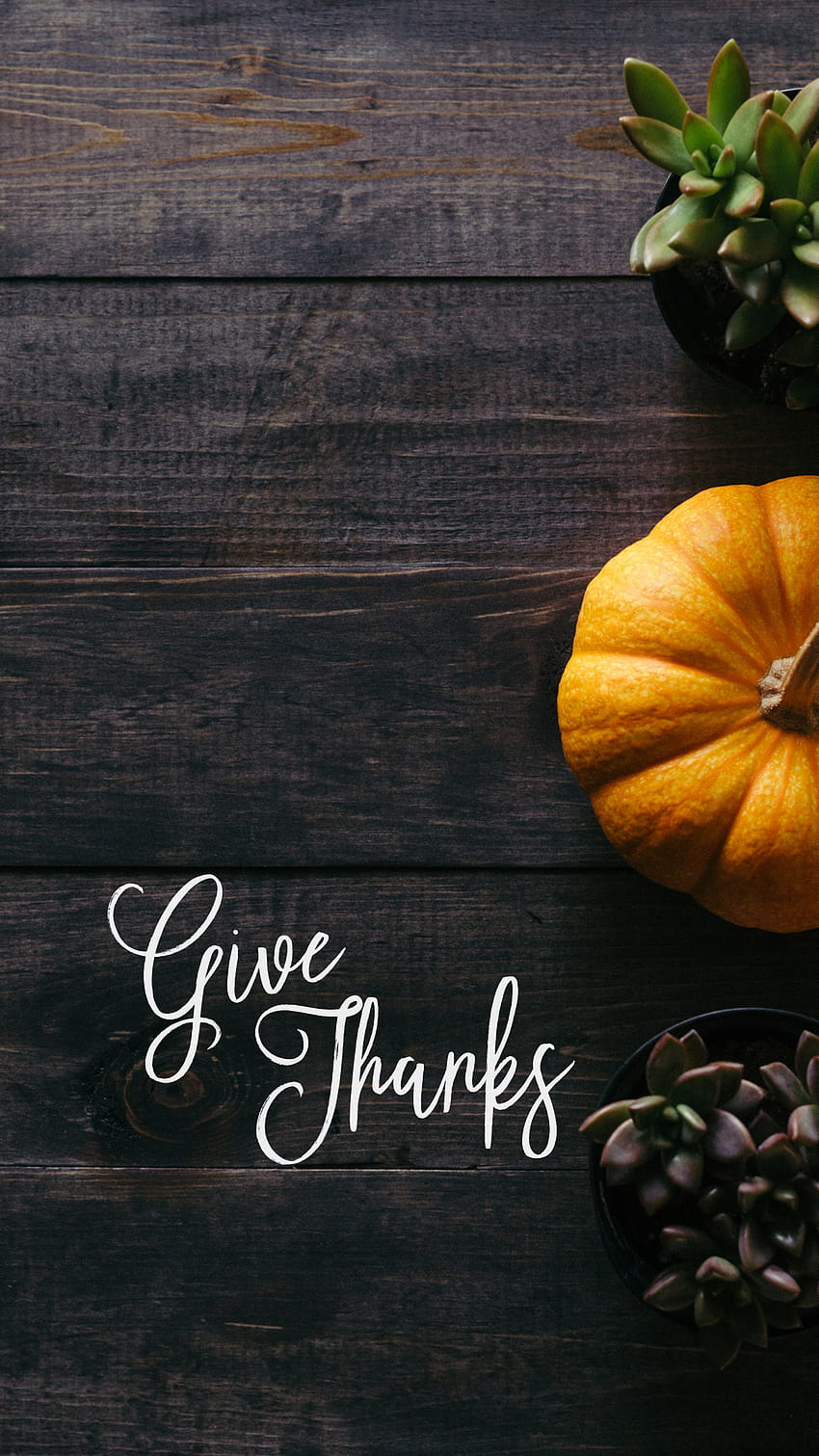 give thanks pumpkin thanksgiving November Fall phone . Lynn Meadows gr…, pumpkins for thanksgiving HD phone wallpaper