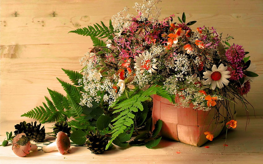 2160x1350 margherite, fiori, trifoglio, foglie, fiori e funghi Sfondo HD