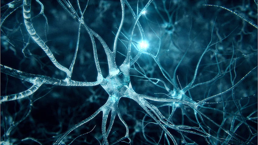 Neuroscience HD wallpaper