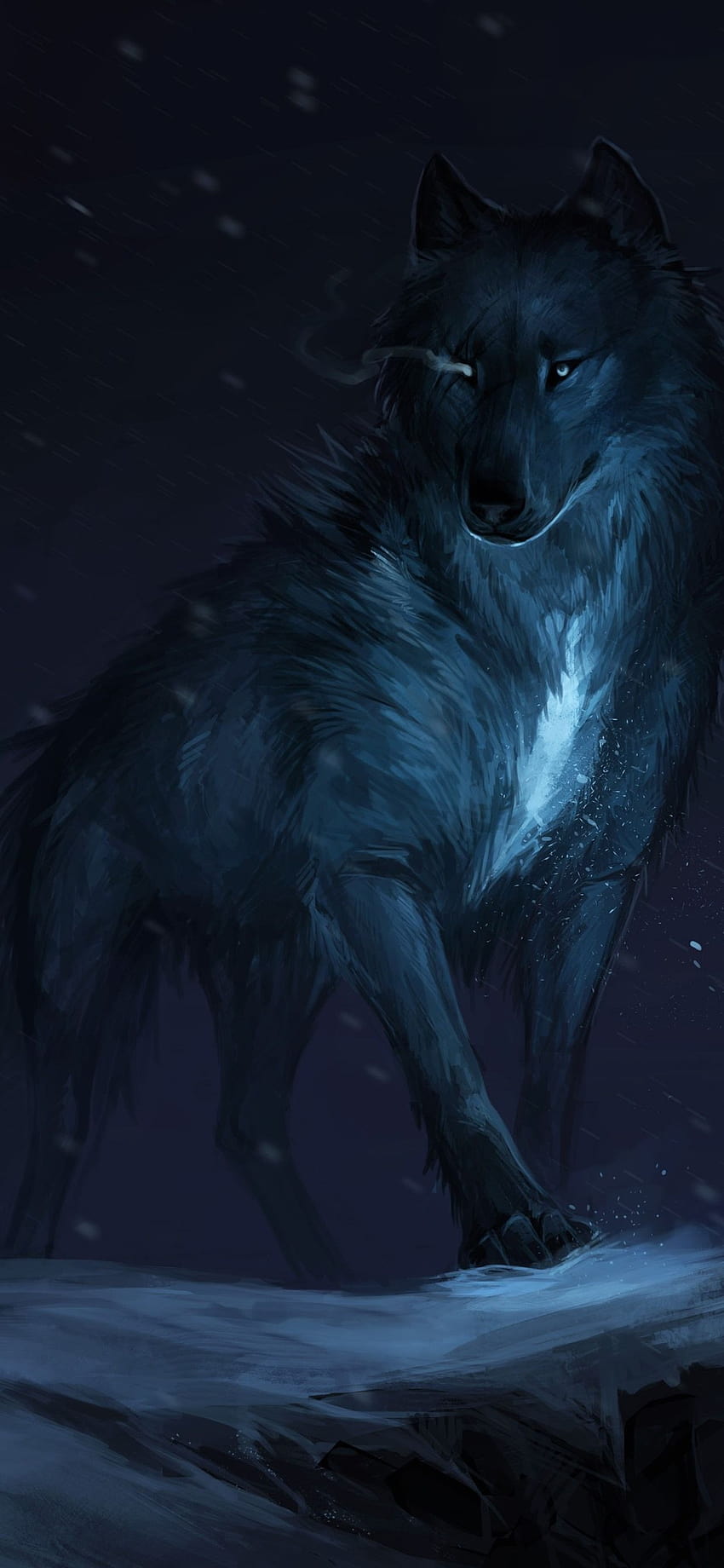 개, 늑대와 여우에 검은 여우 HD 전화 배경 화면
