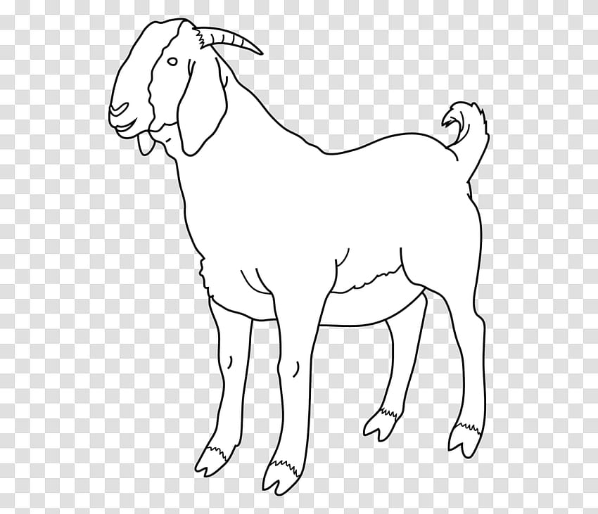 New See Black And White Goat Clipart, Mammal, Animal, Person, Human Transparent Png – Pngset HD wallpaper