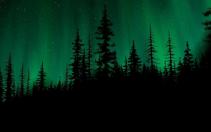Dark Green Landscape HD wallpaper