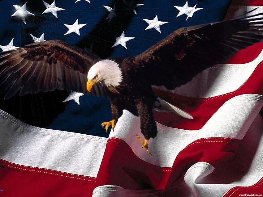 アメリカの国旗を持つワシ、アメリカンイーグルの 高画質の壁紙