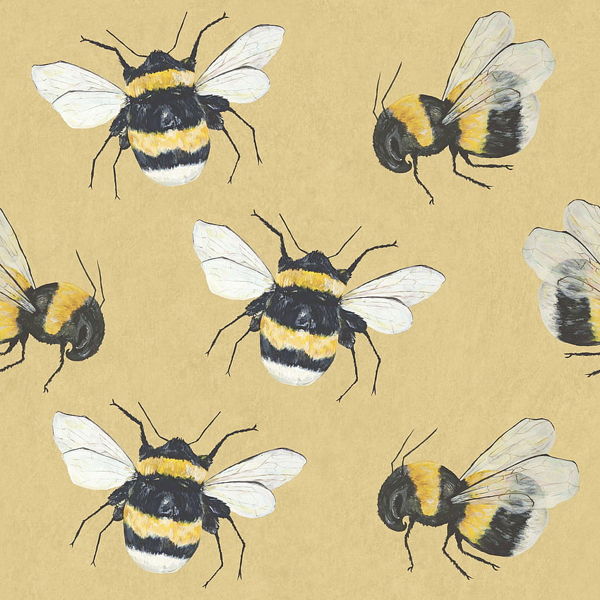 Bees on Dog, bumble bees HD phone wallpaper