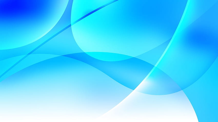 blue and white colour HD wallpaper