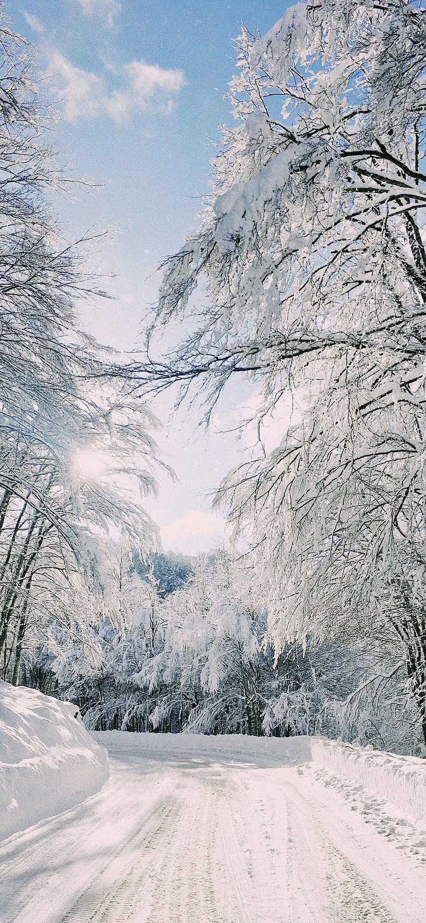 fondo de pantalla del país de las maravillas de invierno