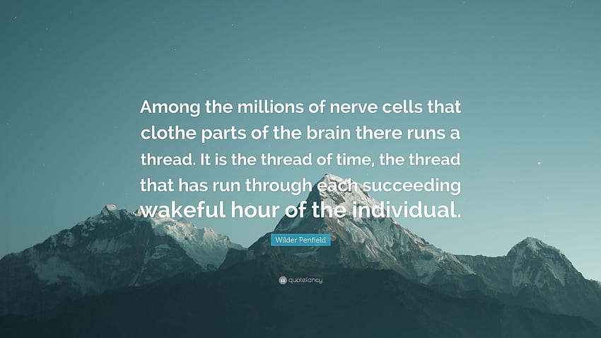 Citação de Wilder Penfield: “Entre os milhões de células nervosas que papel de parede HD