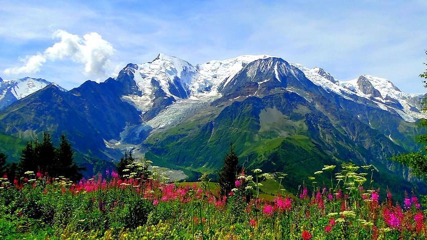 Valley of Flowers National Park Trek in Uttarakhand India Meadow HD-Hintergrundbild