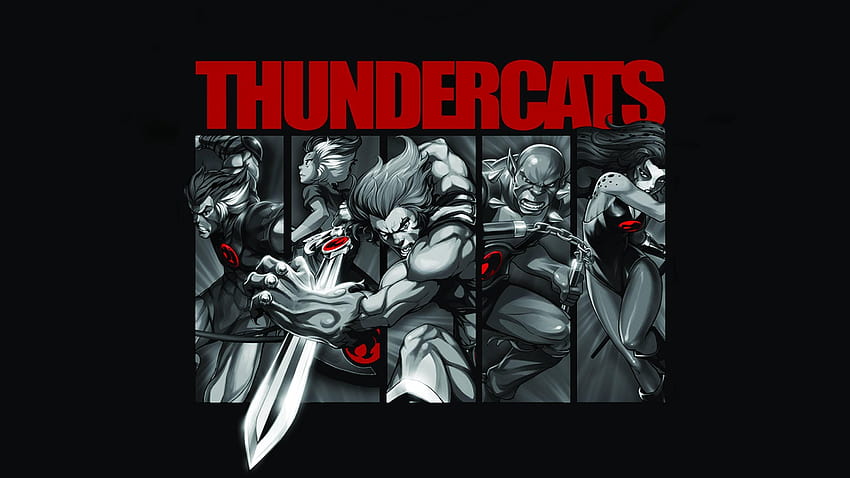 ThunderCats Group, thunder cats angry HD wallpaper