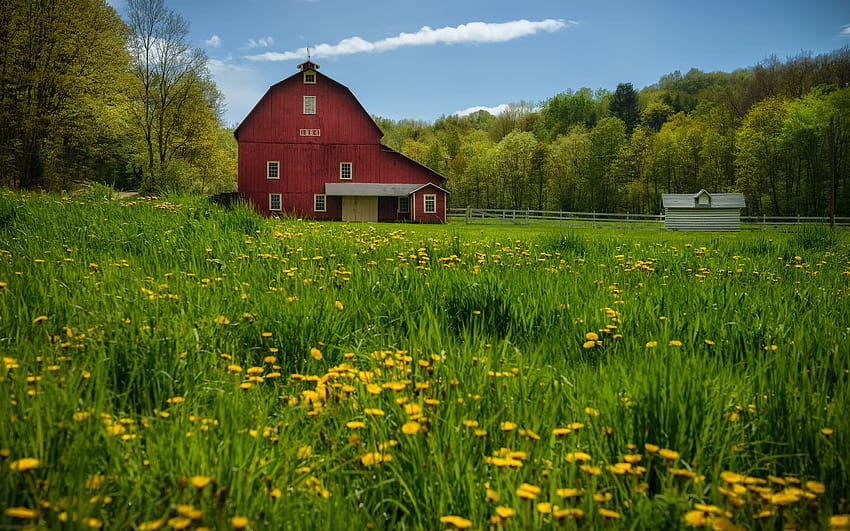 Country Spring, rural springtime HD wallpaper