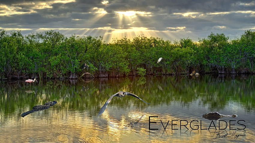 1 Best Everglades National Park HD wallpaper