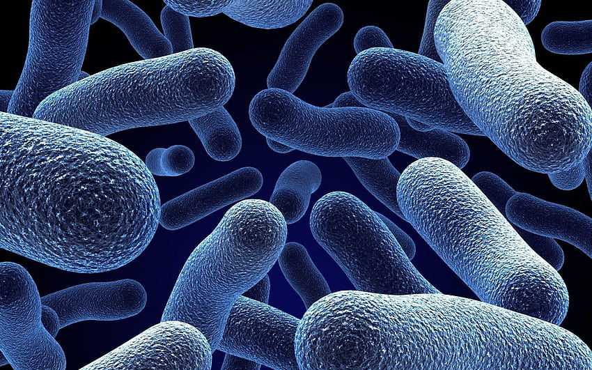 Mikroorganisme 3D. Android untuk, mikrobiologi Wallpaper HD