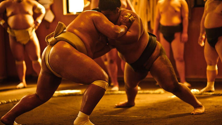Sumo Wrestlers Live, Eat, and Train Together HD wallpaper