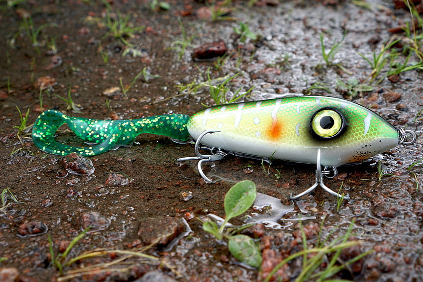 green and white fish hook HD wallpaper