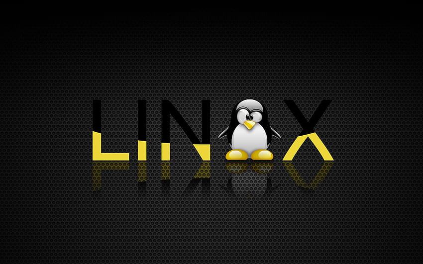 6 Linux Tux, pinguim linux escuro papel de parede HD