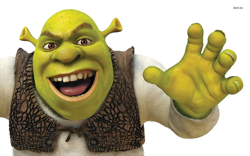 Najlepsze 5 Shrek tła na biodrze, shrek mem Tapeta HD