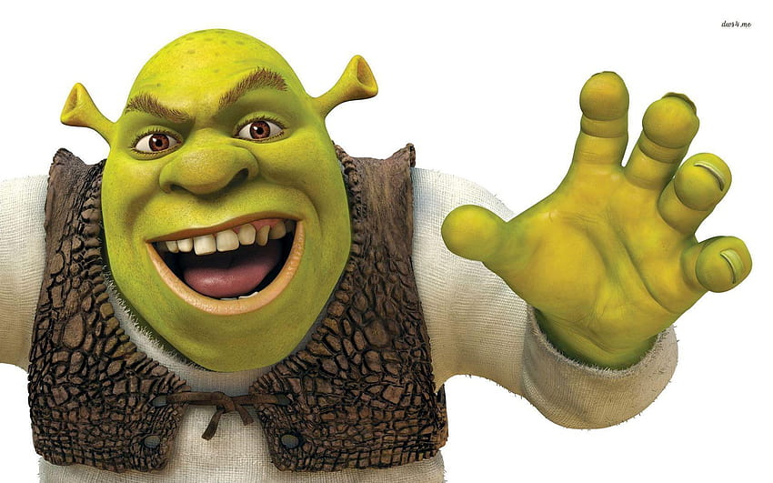 Shrek, , Shrek Meme, HD wallpaper