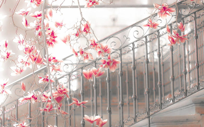Magnolia Steps Flowers Blossoms Mood Stairs Architecture HD wallpaper