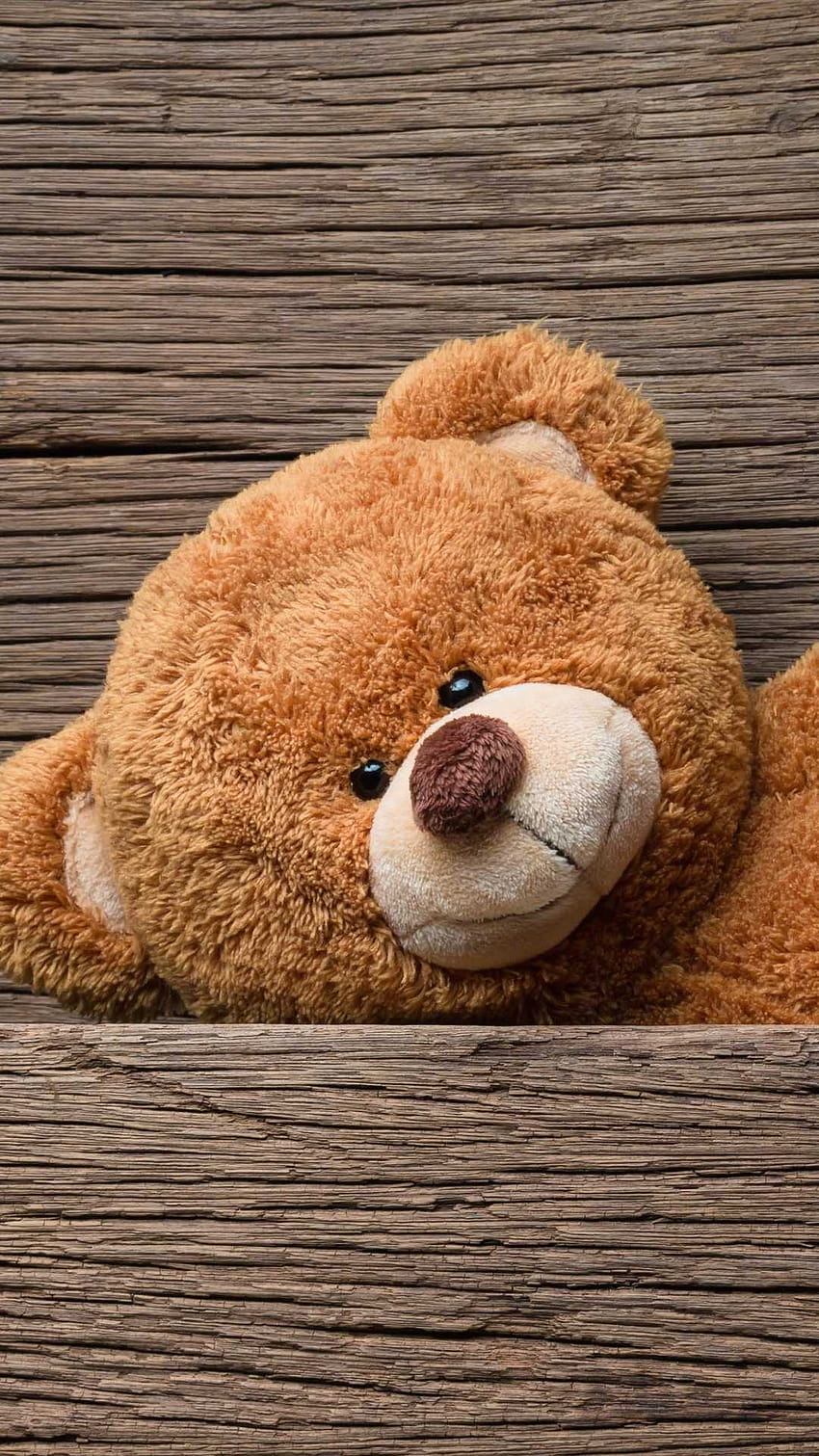 teddy bear aesthetic HD phone wallpaper