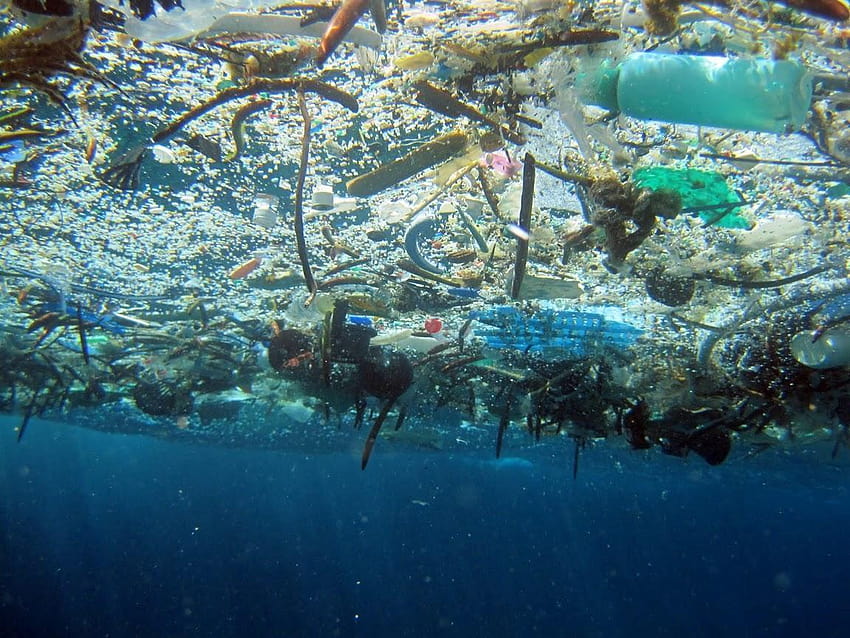 Die 10 verrücktesten Kunststoffe, die unsere Ozeane ersticken, Plastikverschmutzung HD-Hintergrundbild