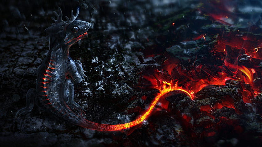 Die 7 Besten Drachen Hintergrundbilder, ohnezahn HD duvar kağıdı