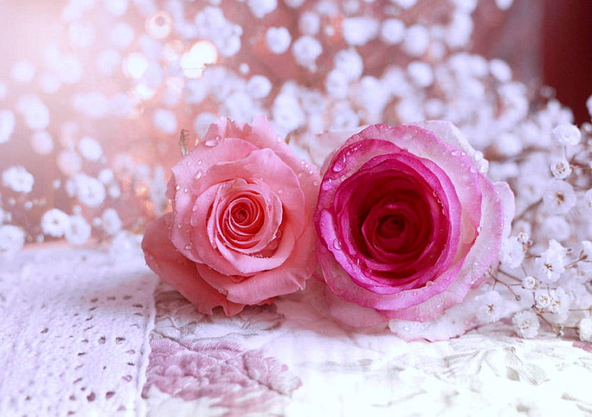 Цветя: любими цветя макро креативна красива аранжировка цветове, изрязани HD тапет