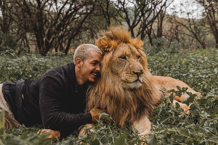 Shocking moment 'Lion King' Instagram influencer Dean Schneider repeatedly PUNCHES lion cub that scratched him HD wallpaper