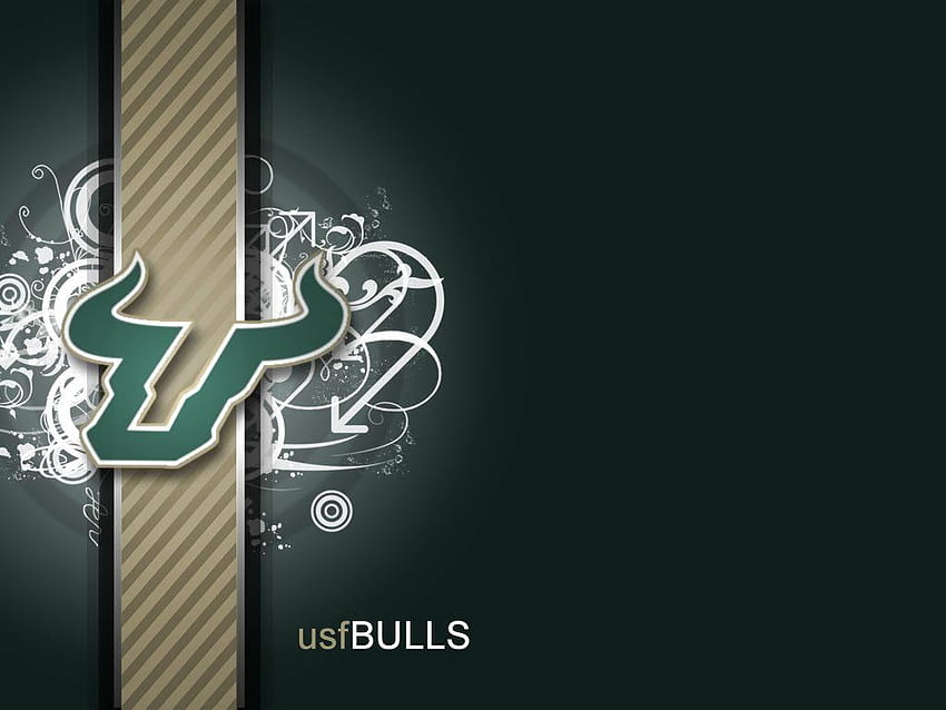 4 USF Bulls HD wallpaper