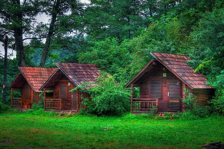Forests: Wooden Forest Cabins Grass Peaceful Serenity Branches Calm, hut background HD wallpaper