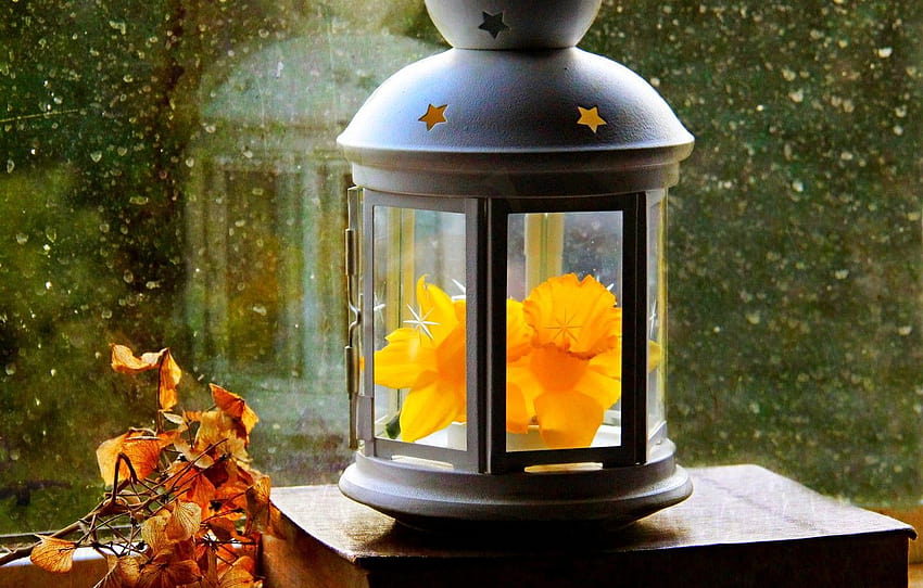 automne, fleur, feuilles, gouttes, printemps, fenêtre, lanterne, fleur, automne, feuilles, fenêtre, Narcisse, gouttes, printemps, papier, lanterne , section разное, lanterne de printemps Fond d'écran HD