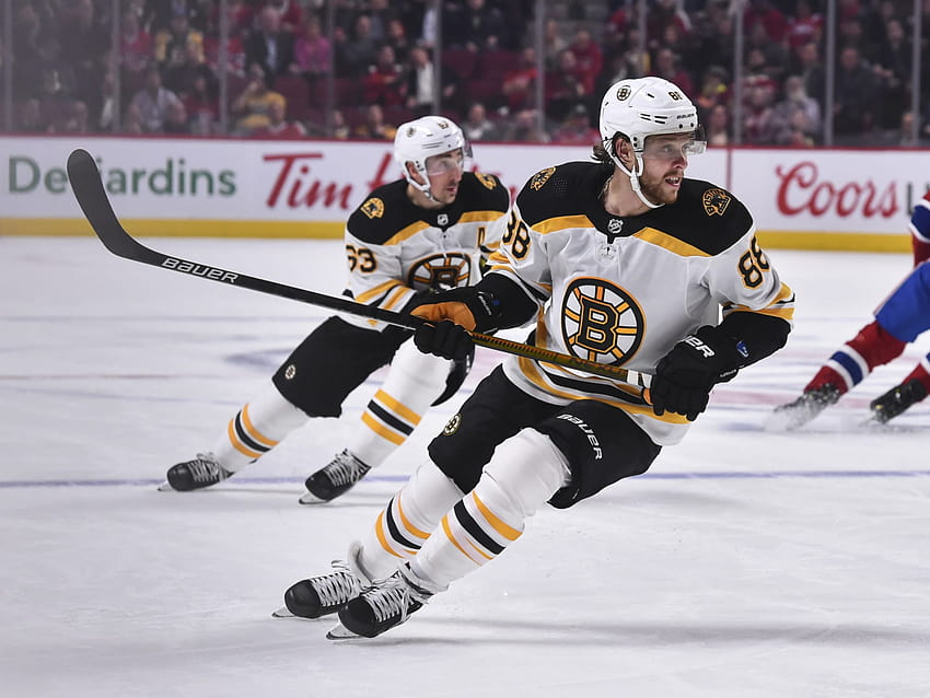 Boston Bruins: David Pastrnak okradziony z historycznego sezonu Tapeta HD