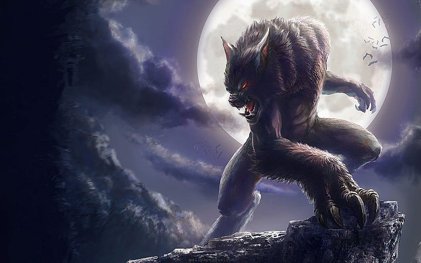 Werewolf Physiology, werewolf vs vampire HD wallpaper