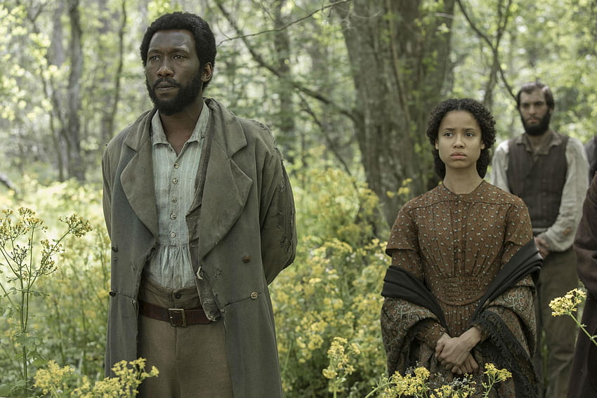 State of Jones Mahershala Ali and Gugu Mbatha HD wallpaper