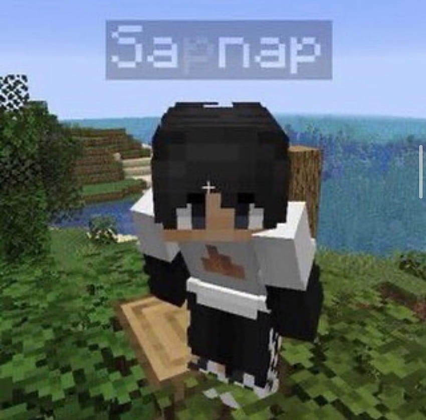 Sapnap, dream minecraft skin HD wallpaper | Pxfuel