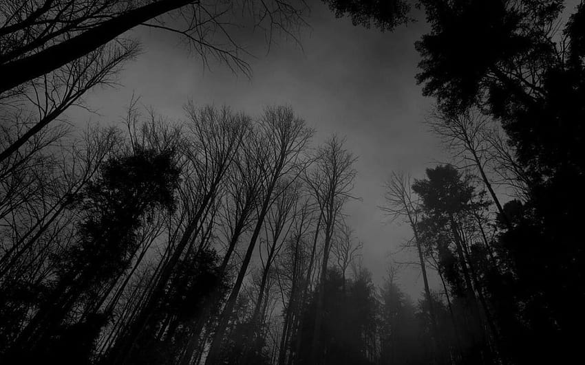 Dark Nature Black Backgrounds: Sfondo HD