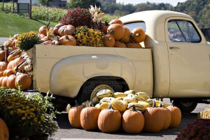 Une camionnette vintage remplie de fleurs ornementales d'automne, de maïs,.. Fond d'écran HD