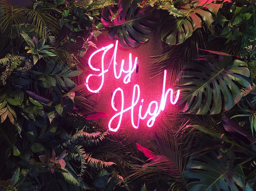Fly High Installazione tropicale con insegna al neon, piante al neon Sfondo HD