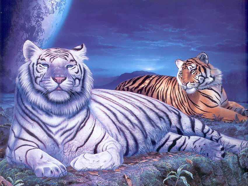 Mystic Walls MWZ2848 Tigers Animals Family Leaves Stones Plants Painting HD  3D Wallpaper for Bedroom Hall4 ft x 3 ft  122 cm x 91 cm  Amazonin  Home Improvement