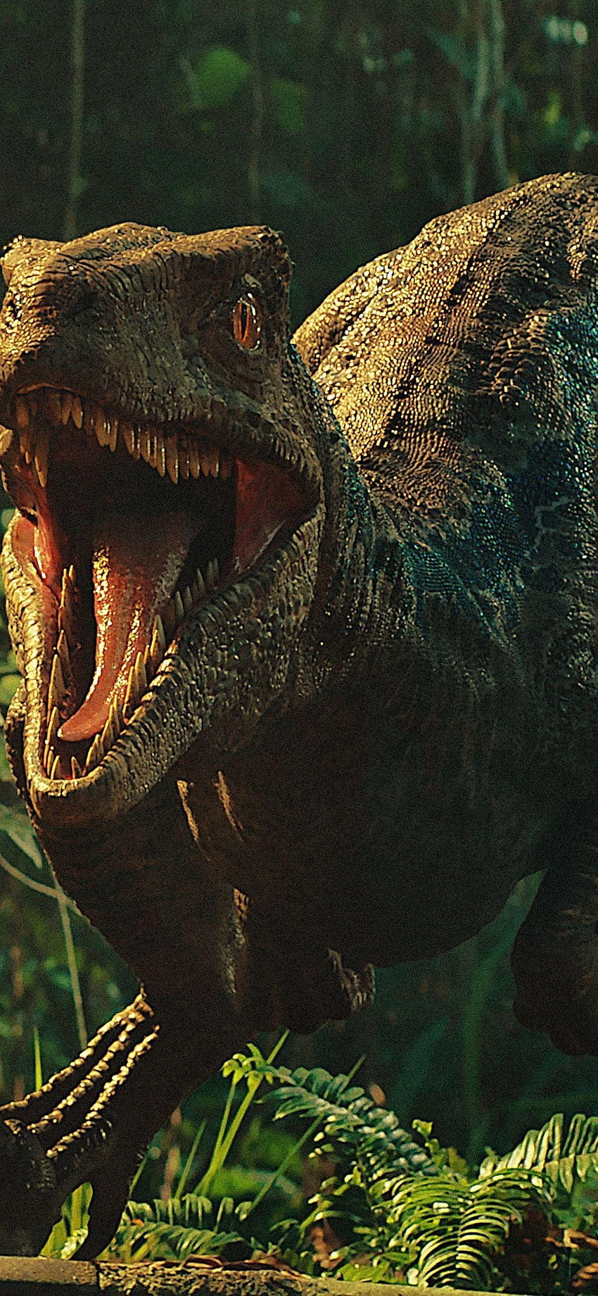 Dinosaur iPhone velociraptor iphone HD phone wallpaper  Pxfuel