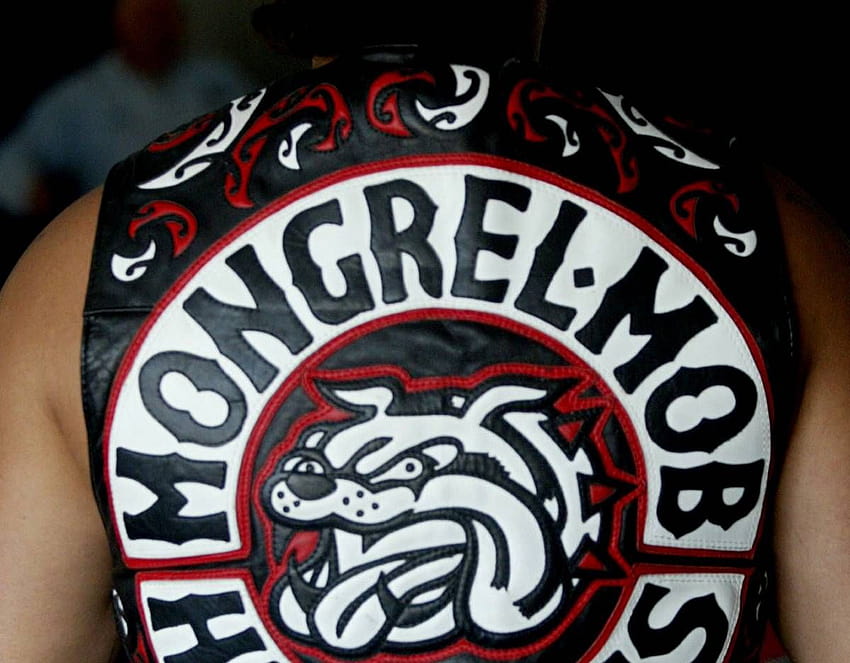 22 Mongrel Fckn Mob SFH-Ideen HD-Hintergrundbild